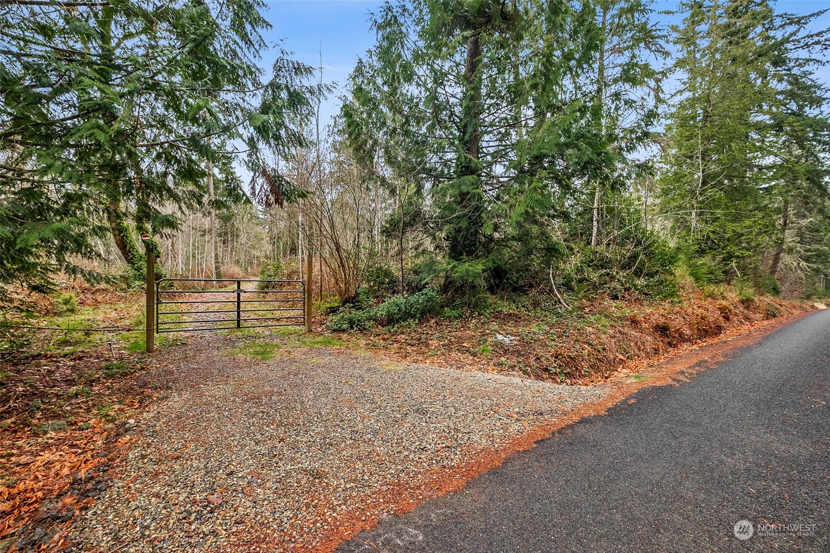 6818 Yeazell Road Southwest Longbranch, WA 98351 - Photo 3 of 16 a backyard of a house with lots of green space