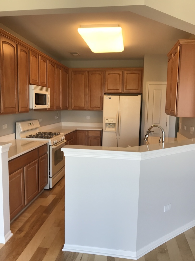 2520 Rolling Ridge Elgin, IL 60124 - Photo 3 of 7