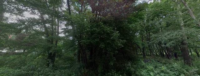 $124,900 | 17327 Hiawatha Beach Drive Northeast, Ham Lake, MN 55304