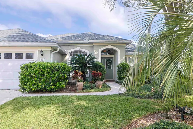 a backyard of a house with plants and large tree
