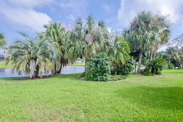 a view of a yard and a palm tree