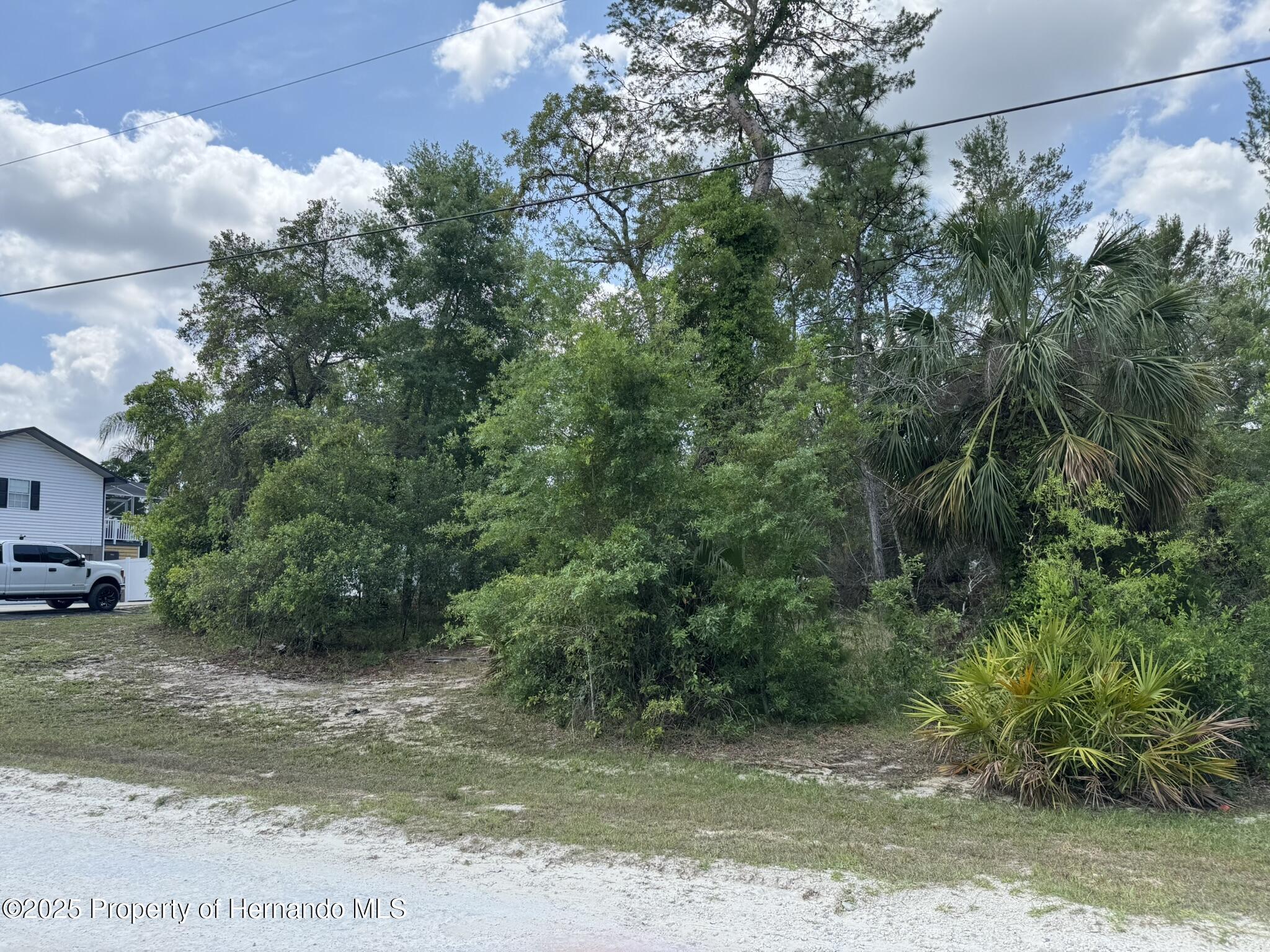 Lot 31 Senior Way Weeki Wachee, FL 34613 - Photo 6 of 7