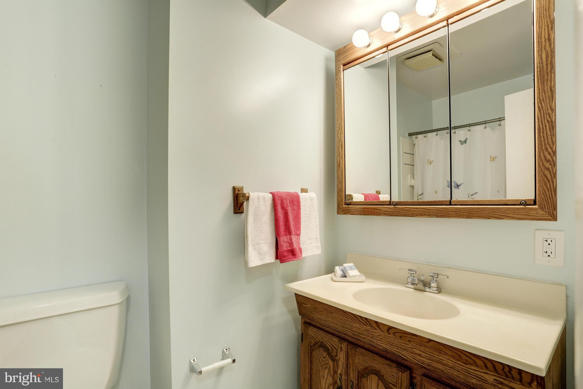 12906 Buccaneer Road Silver Spring, MD 20904 - Photo 21 of 30 a bathroom with a sink and a mirror