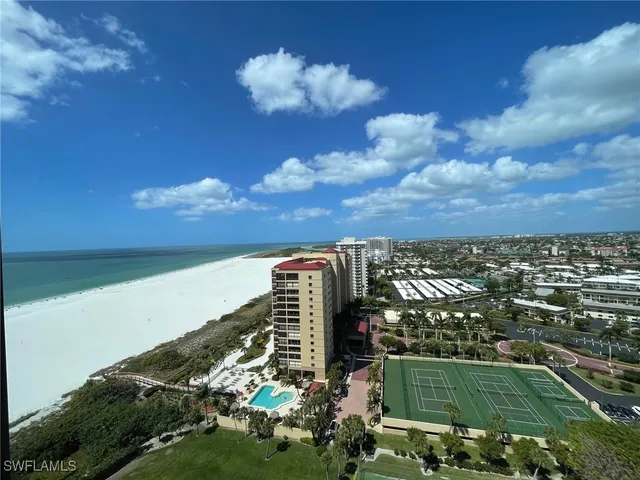 a view of a swimming pool with a lawn chairs and palm tree