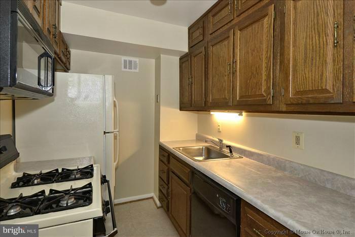 1015 Carson Street Silver Spring, MD 20901 - Photo 2 of 22 Kitchen