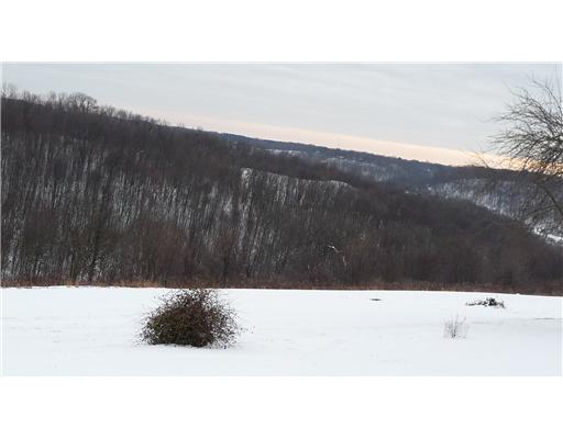 321 Mellon Road New Brighton, PA 15066 - Photo 7 of 7 Living Room. View from the back of the property which is 2 +/- acres.