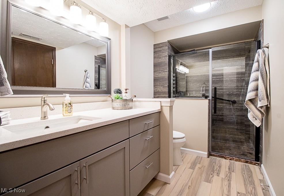 7041 Hopkins Road Mentor, OH 44060 - Photo 32 of 46 Handsome lower level bathroom featuring amazing walk-in shower with multi function shower head