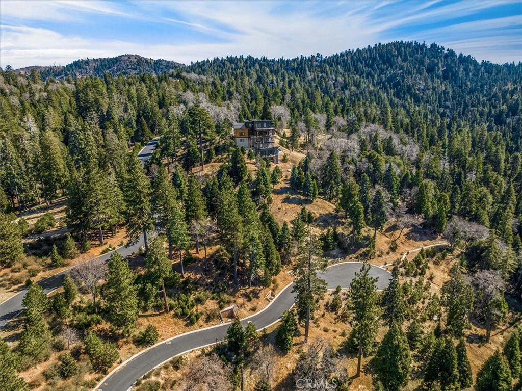 109 Mill Pond Road Lake Arrowhead, CA 92352 - Photo 14 of 43