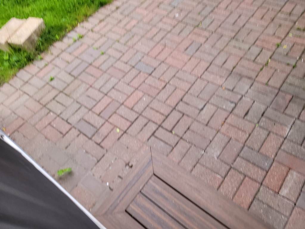 37 Ekman Street Worcester, MA 01607 - Photo 23 of 28