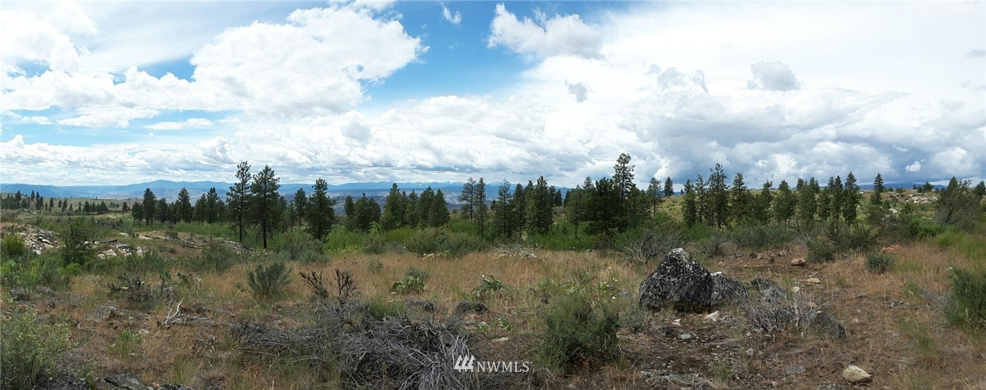 420 A Cameron Lake Loop Road Okanogan, WA 98840 - Photo 19 of 19 Gallery Image 19
