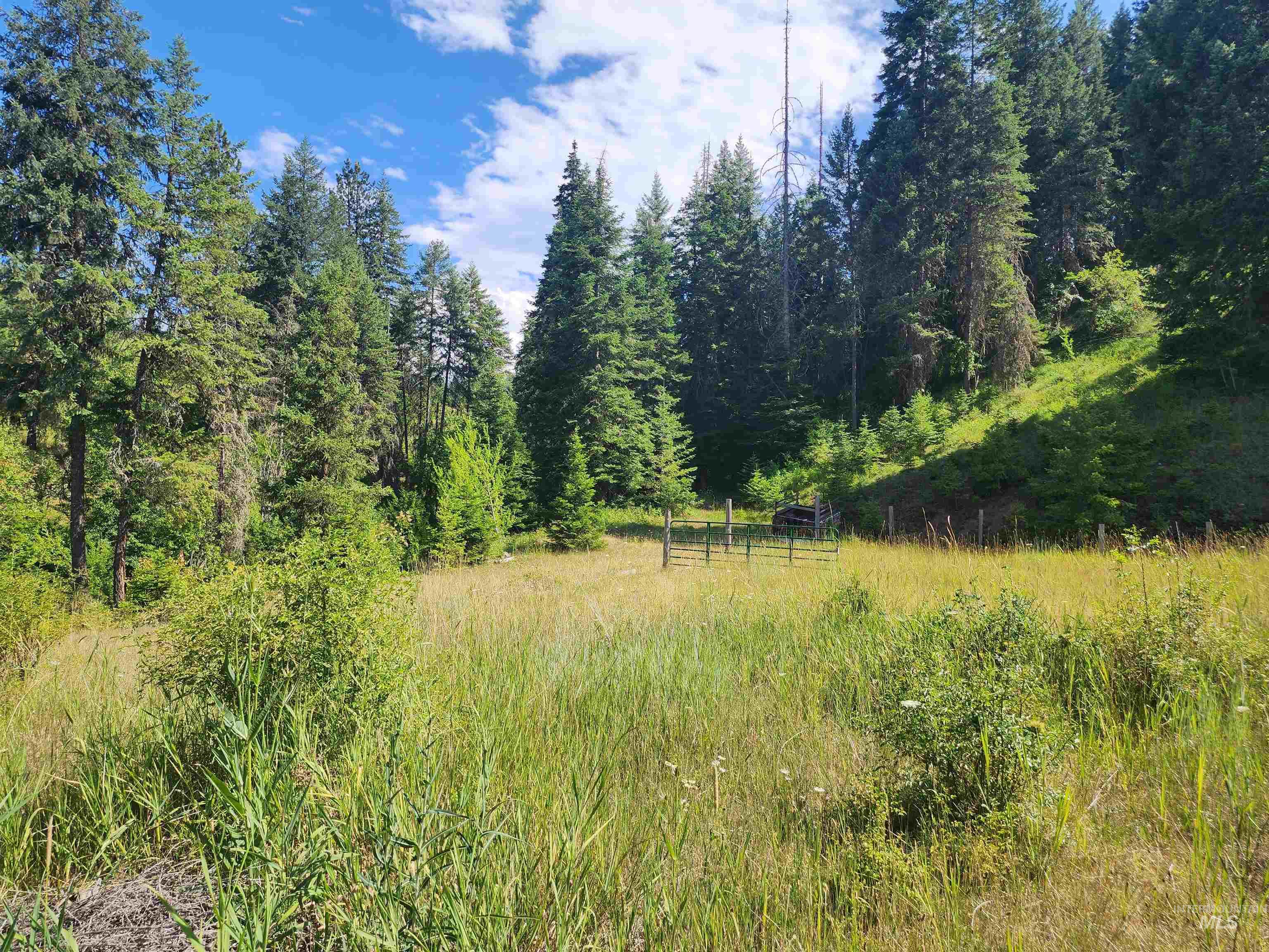 126 Shira Road Stites, ID 83552 - Photo 16 of 45