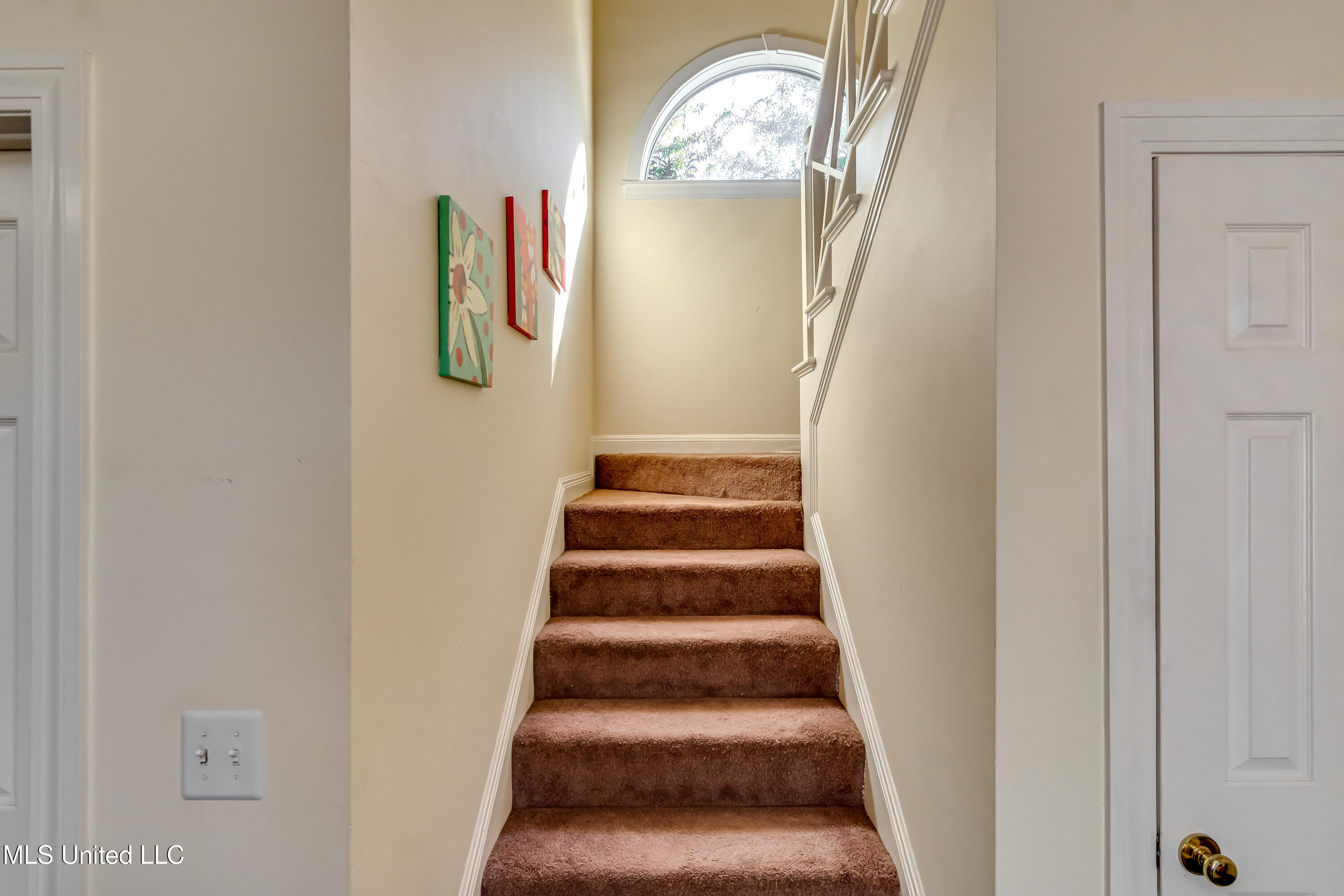 106 Begonia Lane Madison, MS 39110 - Photo 20 of 47 106 Begonia -41