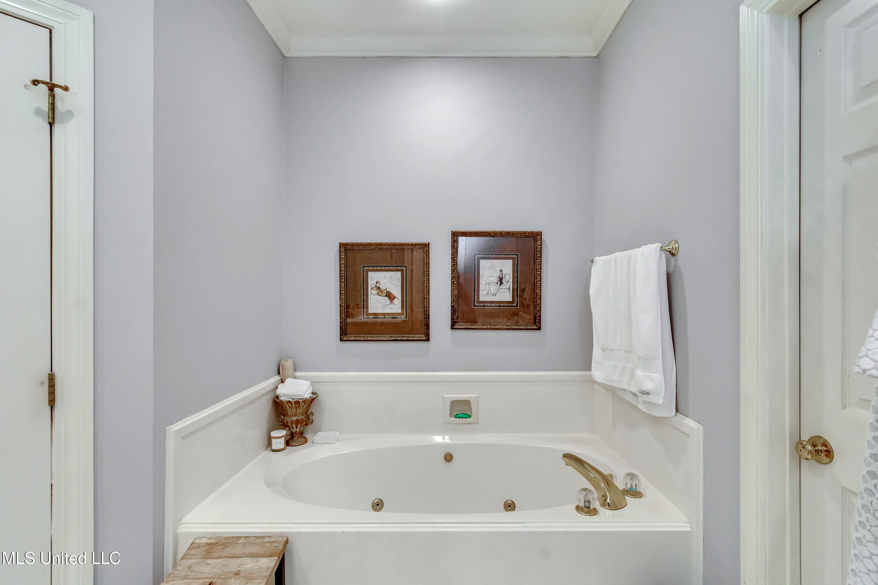 106 Begonia Lane Madison, MS 39110 - Photo 28 of 47 106 Begonia -68