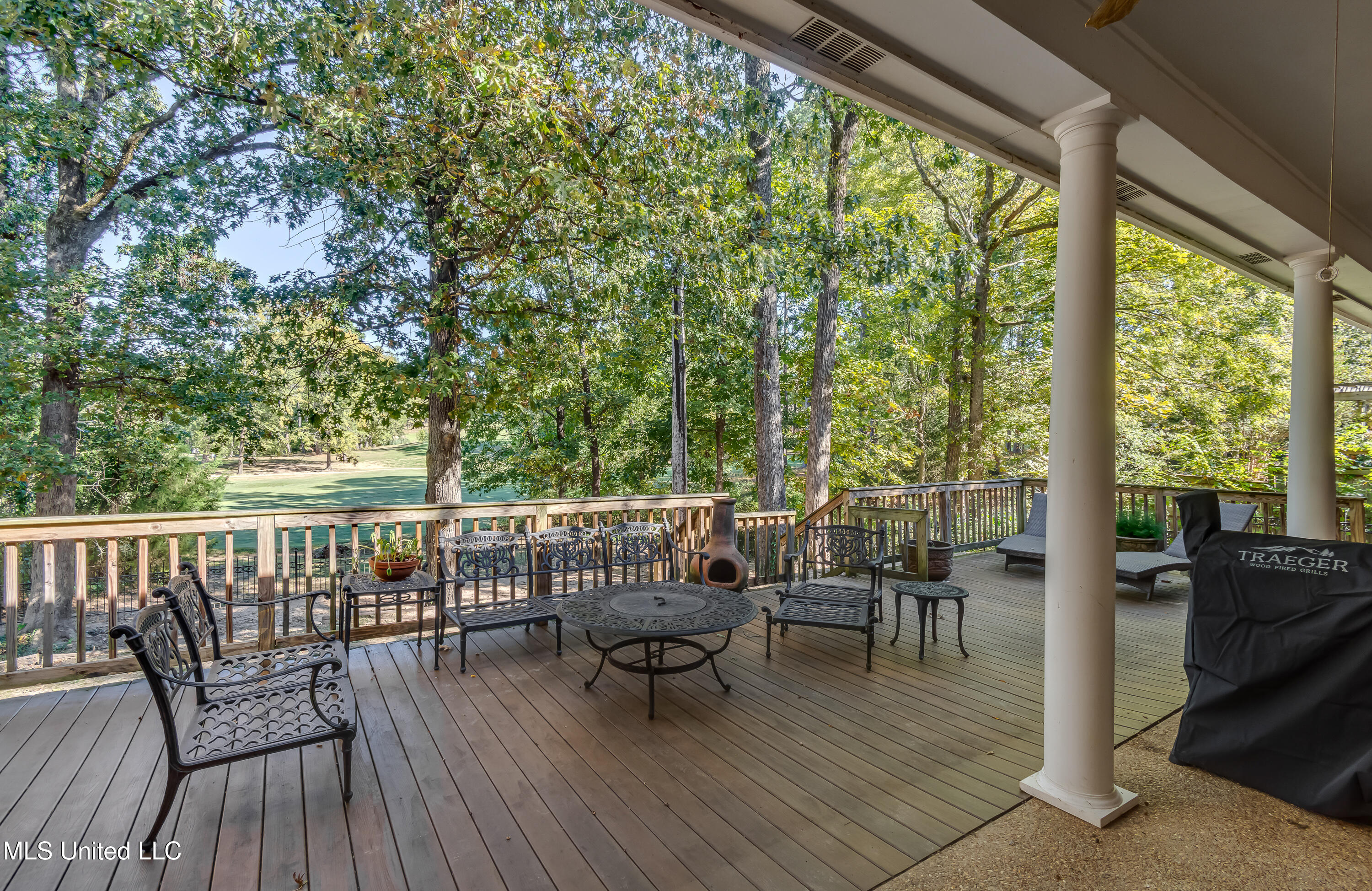 106 Begonia Lane Madison, MS 39110 - Photo 3 of 47 106 Begonia -9