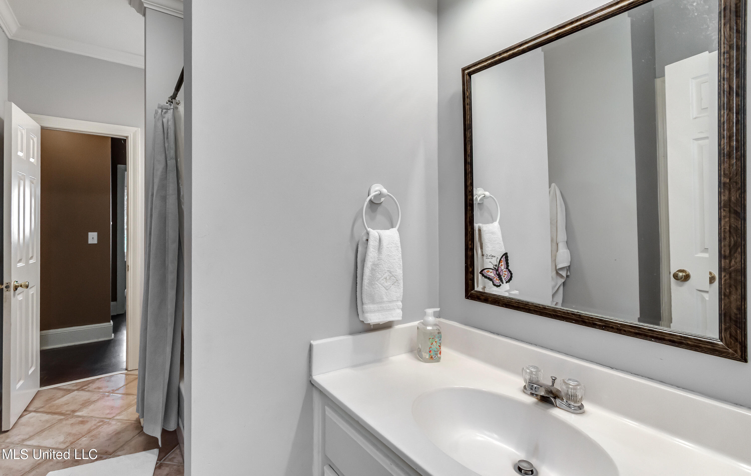 106 Begonia Lane Madison, MS 39110 - Photo 38 of 47 106 Begonia -61