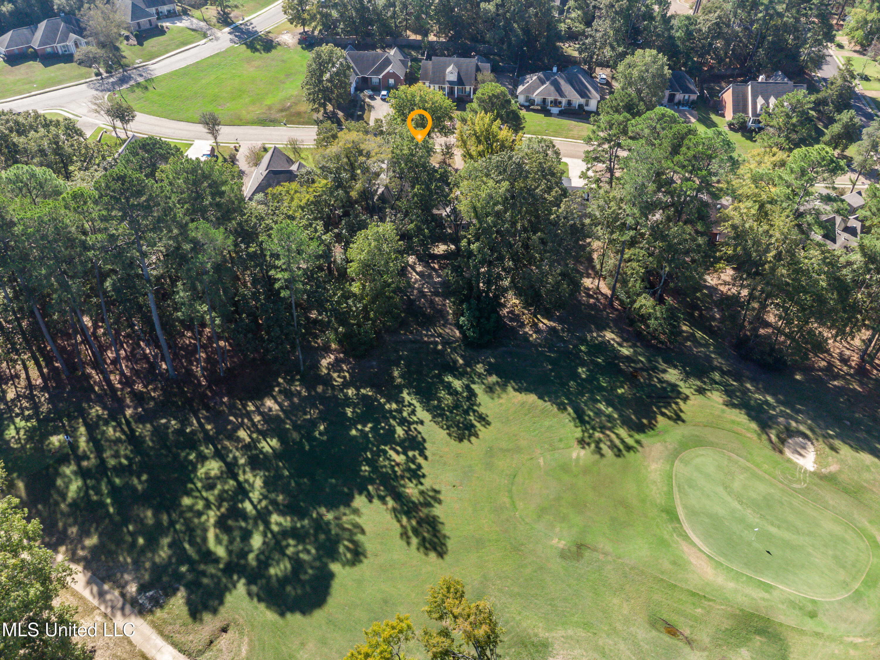 106 Begonia Lane Madison, MS 39110 - Photo 40 of 47 106 Begonia Drone-11