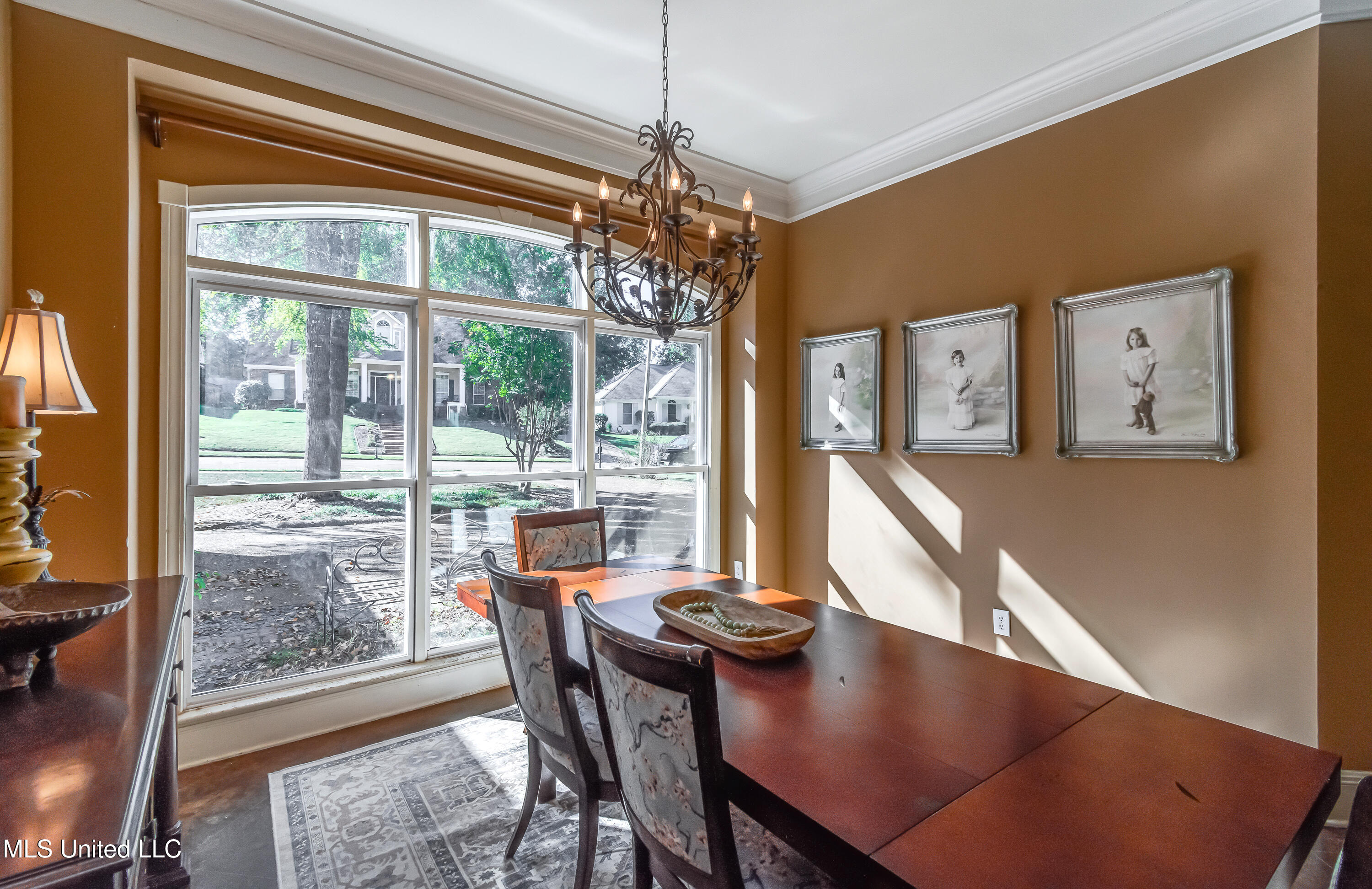 106 Begonia Lane Madison, MS 39110 - Photo 9 of 47 106 Begonia -24