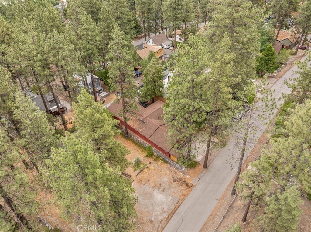 1056 Lark Road Wrightwood, CA 92397 - Photo 34 of 40 a view of a yard with plants and wooden fence