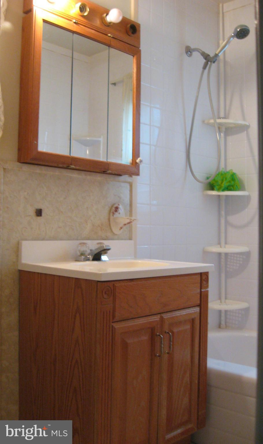 354 Montgomery Road Rising Sun, MD 21911 - Photo 14 of 26 Bath