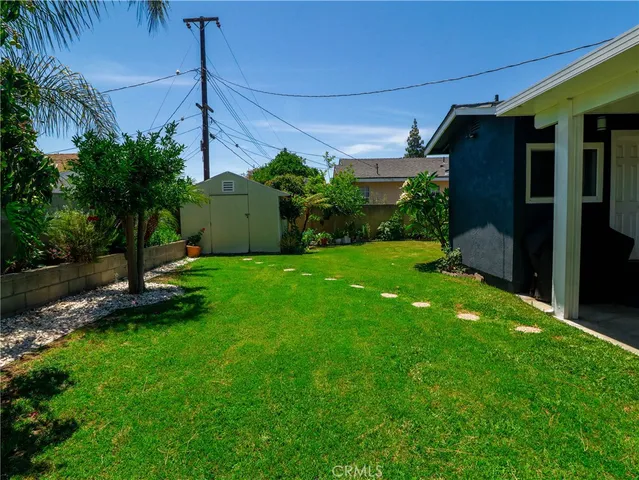a view of a backyard with plants and a large tree