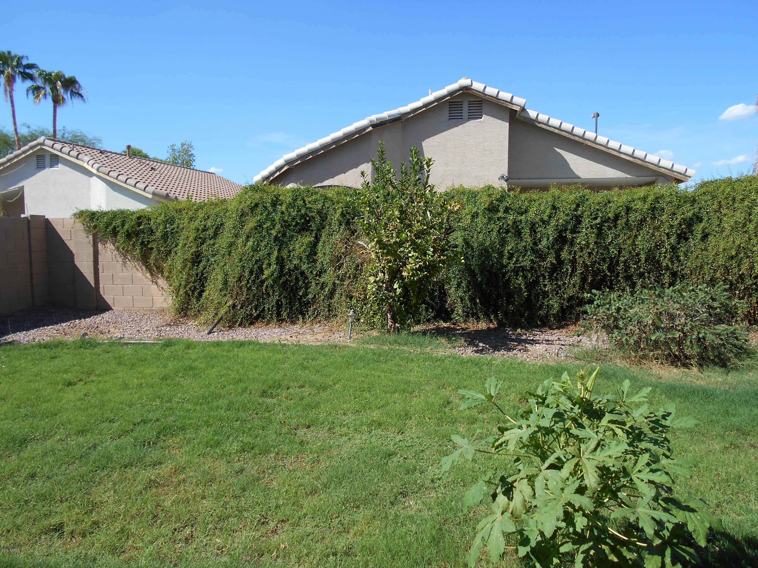 434 East Ranch Road Gilbert, AZ 85296 - Photo 8 of 12 Grassy Back Yard
