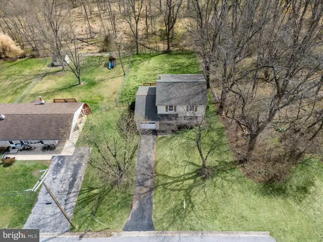 a view of a park with large trees