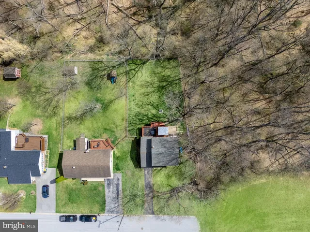 a view of a house with a large tree and a yard