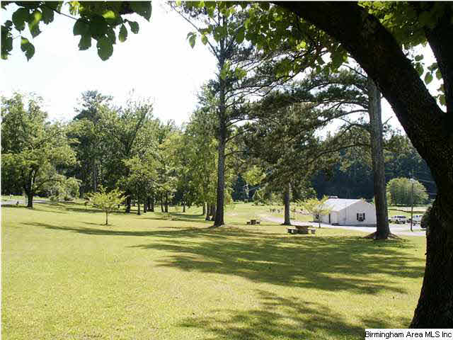 Lakeshore Drive, Unit 3D Oneonta, AL 35121 - Photo 16 of 16