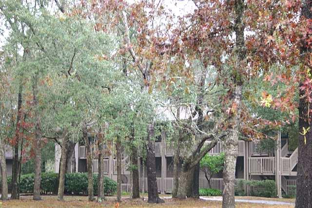 3165 Ravines Road Middleburg, FL 32068 - Photo 1 of 1 MLS Photo #1