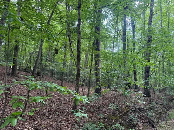 $20,000 | 25 McCracken Cove, Hayesville, NC 28904