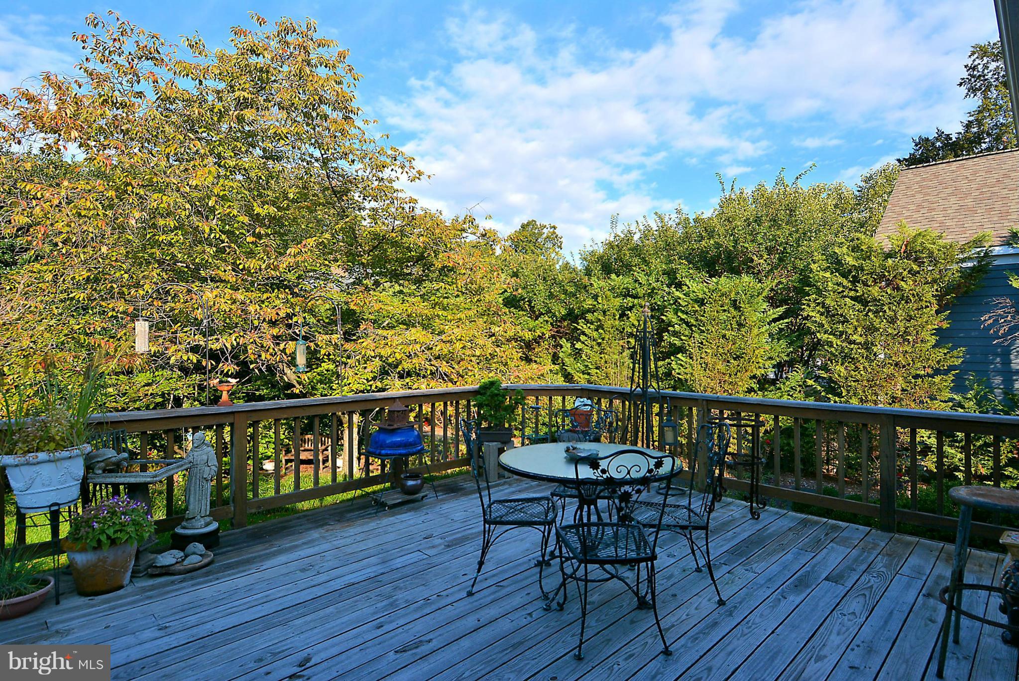 1914 South Arlington Ridge Road Arlington, VA 22202 - Photo 17 of 30 Rear Deck Overlooking Gorgeous Yard!