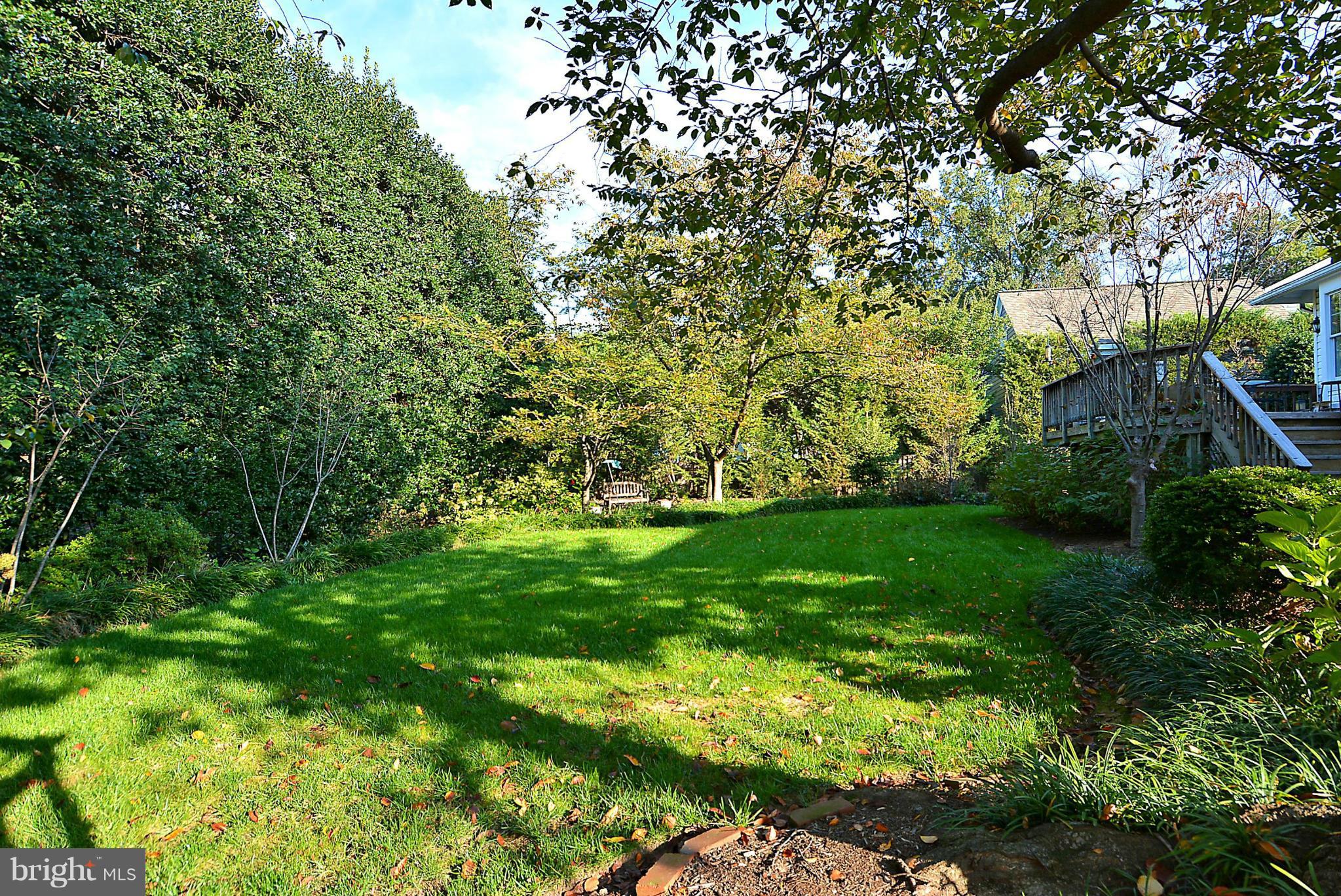 1914 South Arlington Ridge Road Arlington, VA 22202 - Photo 27 of 30 Back yard