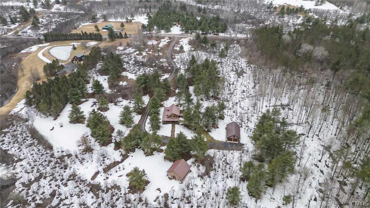 2239 Boshart Road Harrisburg, NY 13626 - Photo 46 of 50