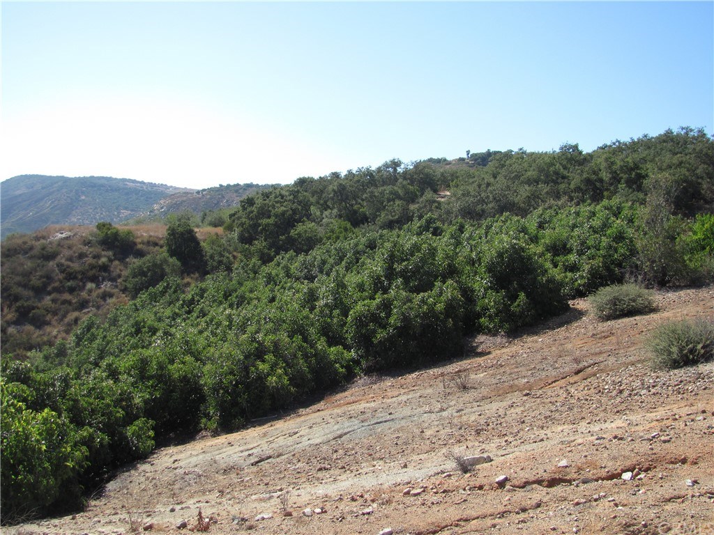 0 La Villa Temecula Ca Temecula, CA 92592 - Photo 14 of 17