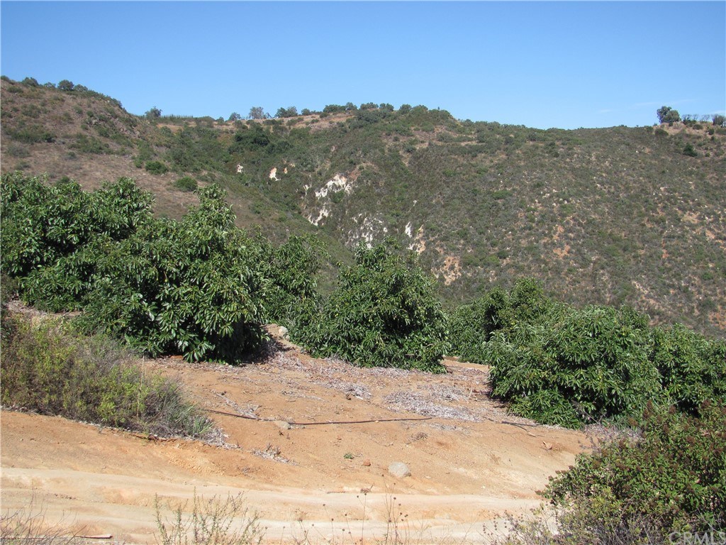 0 La Villa Temecula Ca Temecula, CA 92592 - Photo 15 of 17