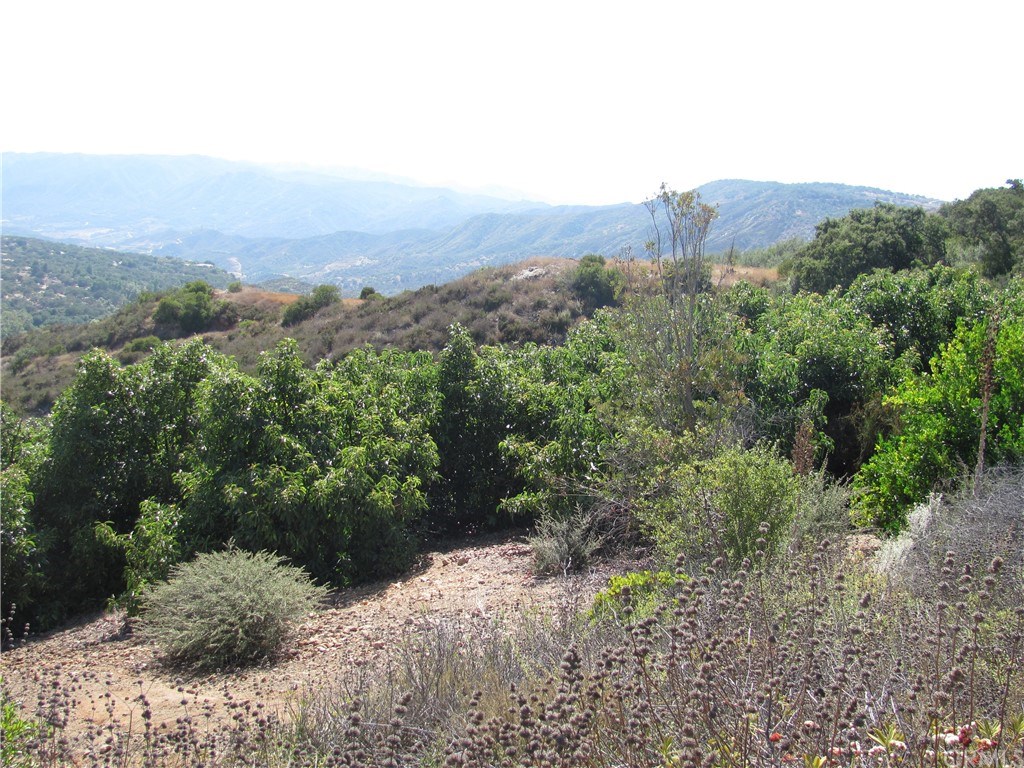 0 La Villa Temecula Ca Temecula, CA 92592 - Photo 5 of 17
