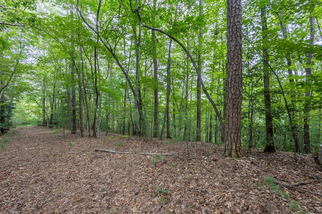 Lot 26 Persimmon Hts Road Murphy, NC 28906 - Photo 4 of 9