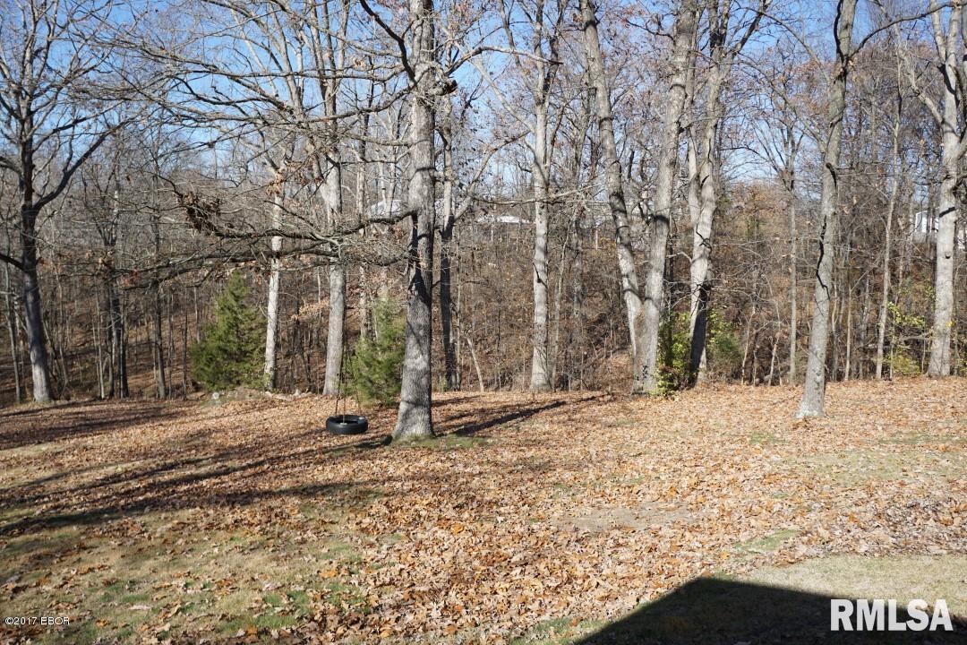 165 Sisk Road Creal Springs, IL 62922 - Photo 32 of 33 Gallery Image 32