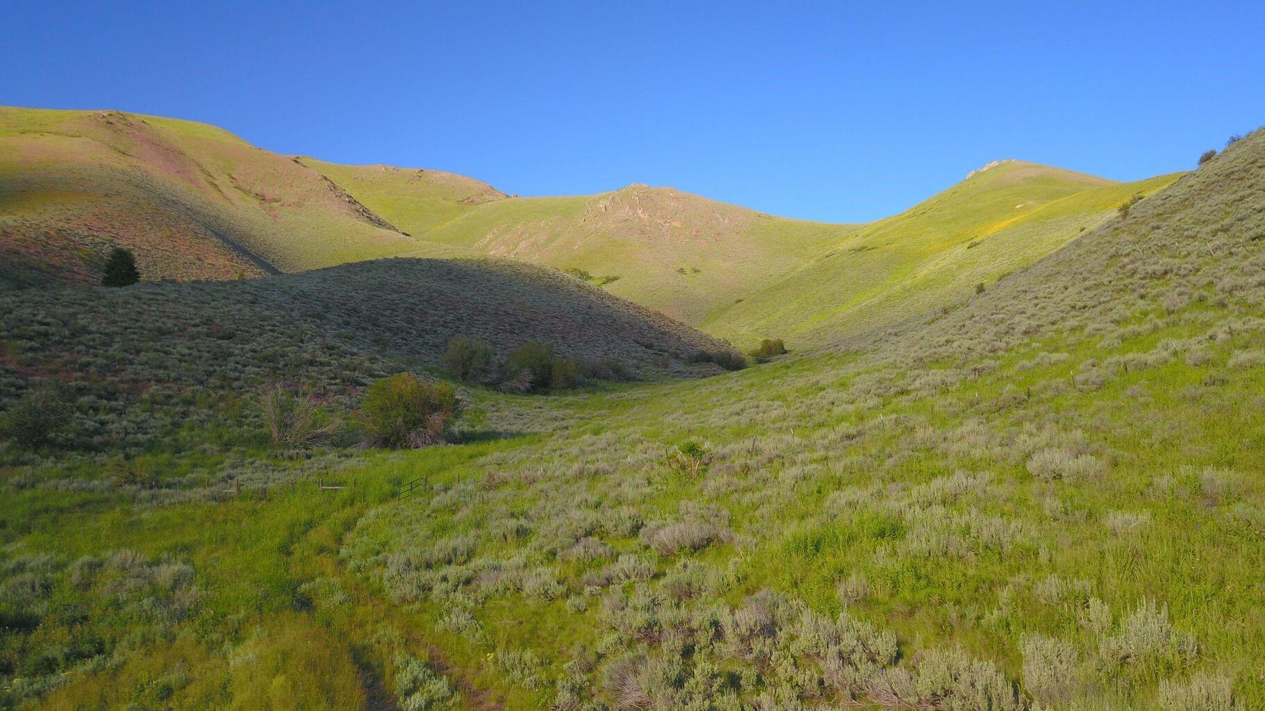 100 Water Gulch Road Hailey, ID 83333 - Photo 1 of 9 Surrounded by open land