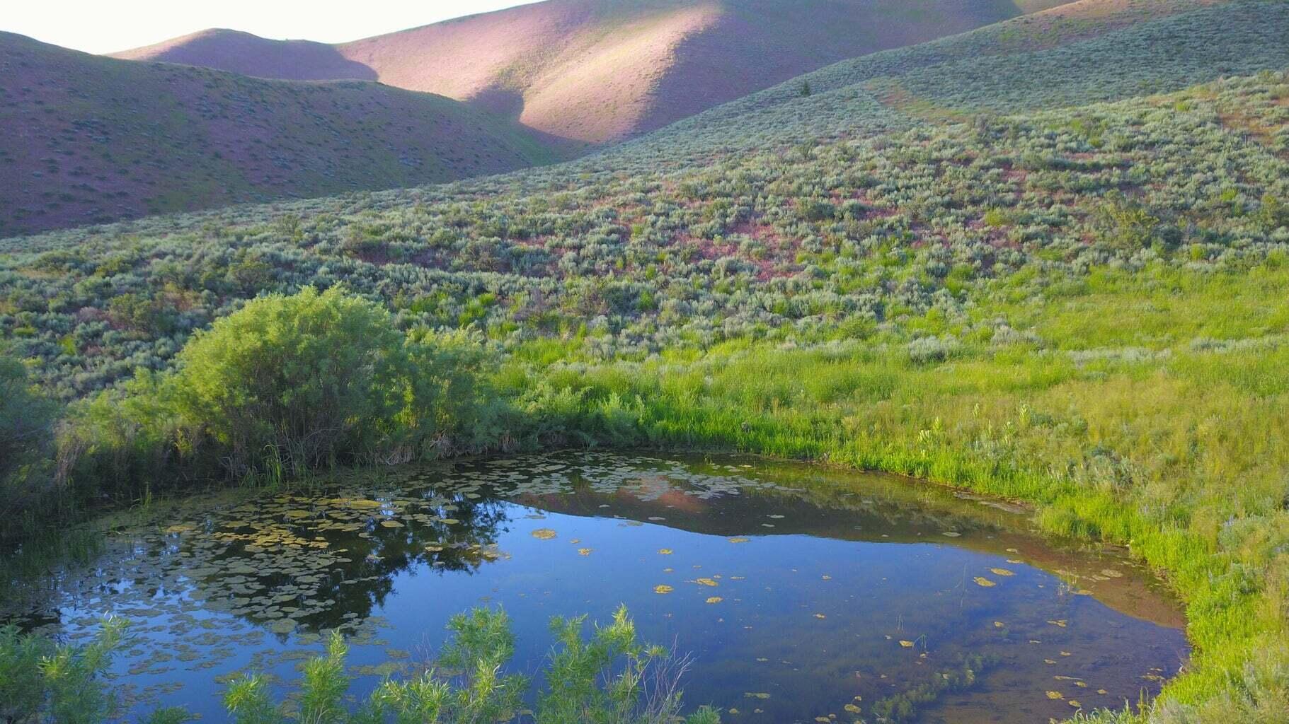100 Water Gulch Road Hailey, ID 83333 - Photo 2 of 9 Spring-fed pond