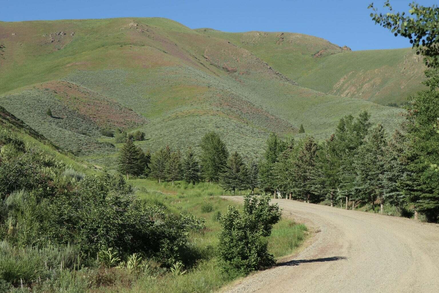 100 Water Gulch Road Hailey, ID 83333 - Photo 4 of 9 Entry Drive