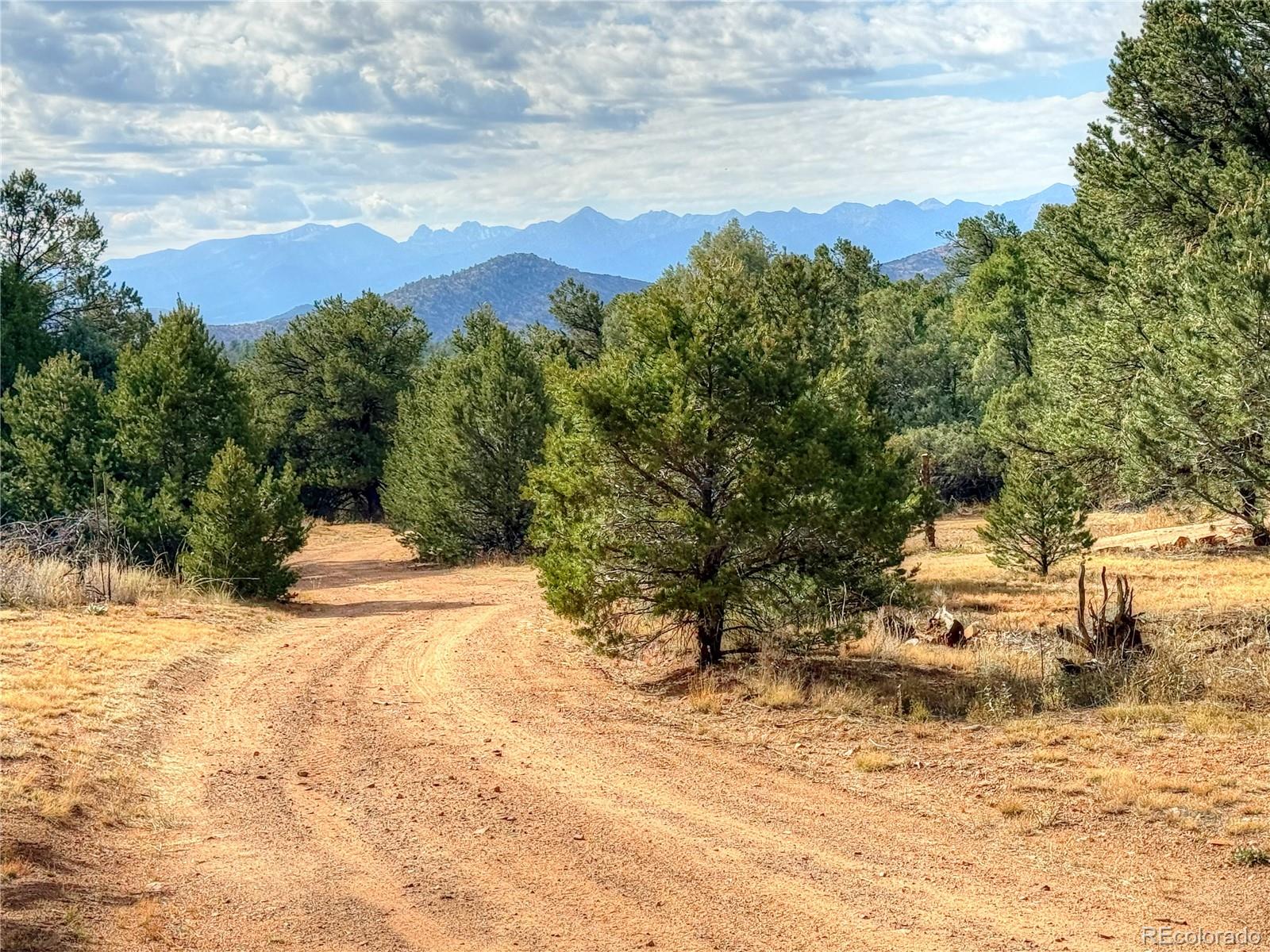 1525 L Path Cotopaxi, CO 81223 - Photo 1 of 28 a view of a yard with wooden fence