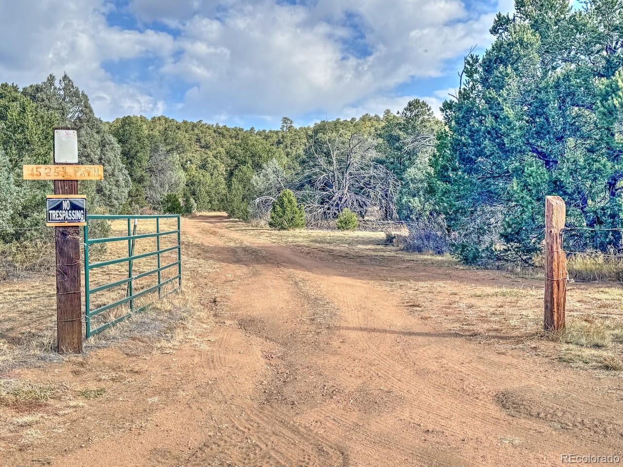 1525 L Path Cotopaxi, CO 81223 - Photo 2 of 28 a view of a street with large trees