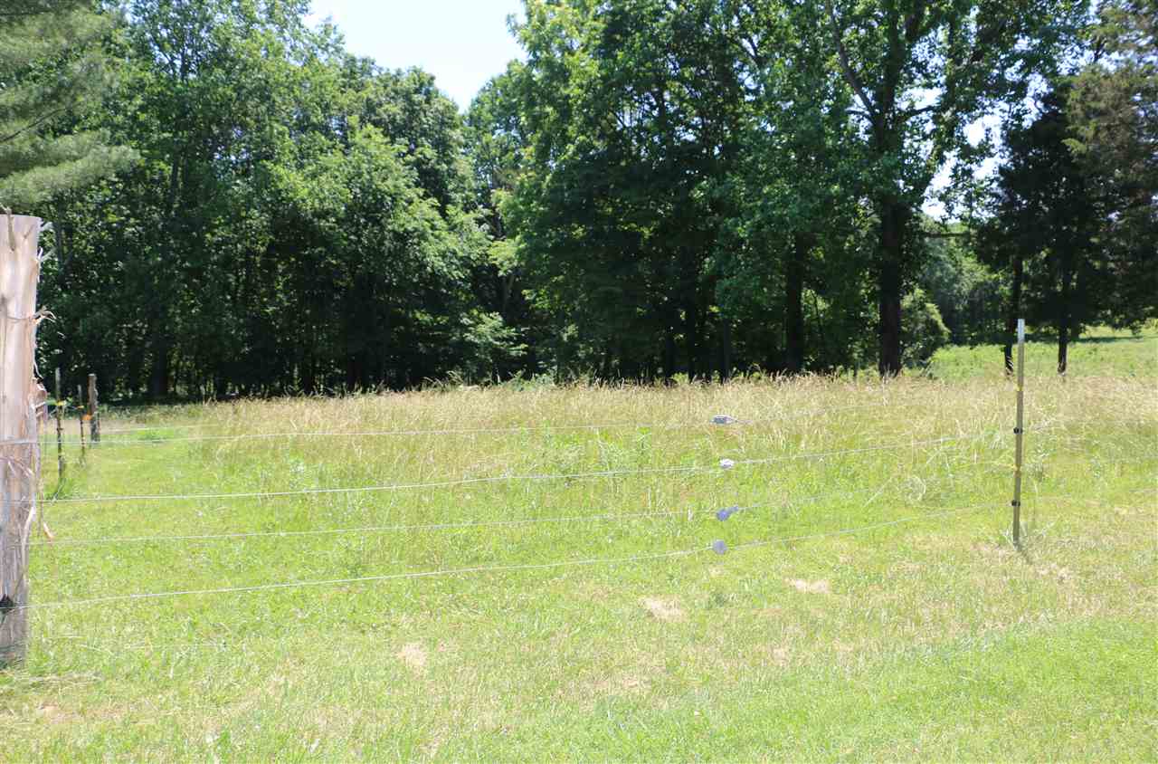 440 Harrison Road Fountain Run, KY 42133 - Photo 22 of 35 Gallery Image 22