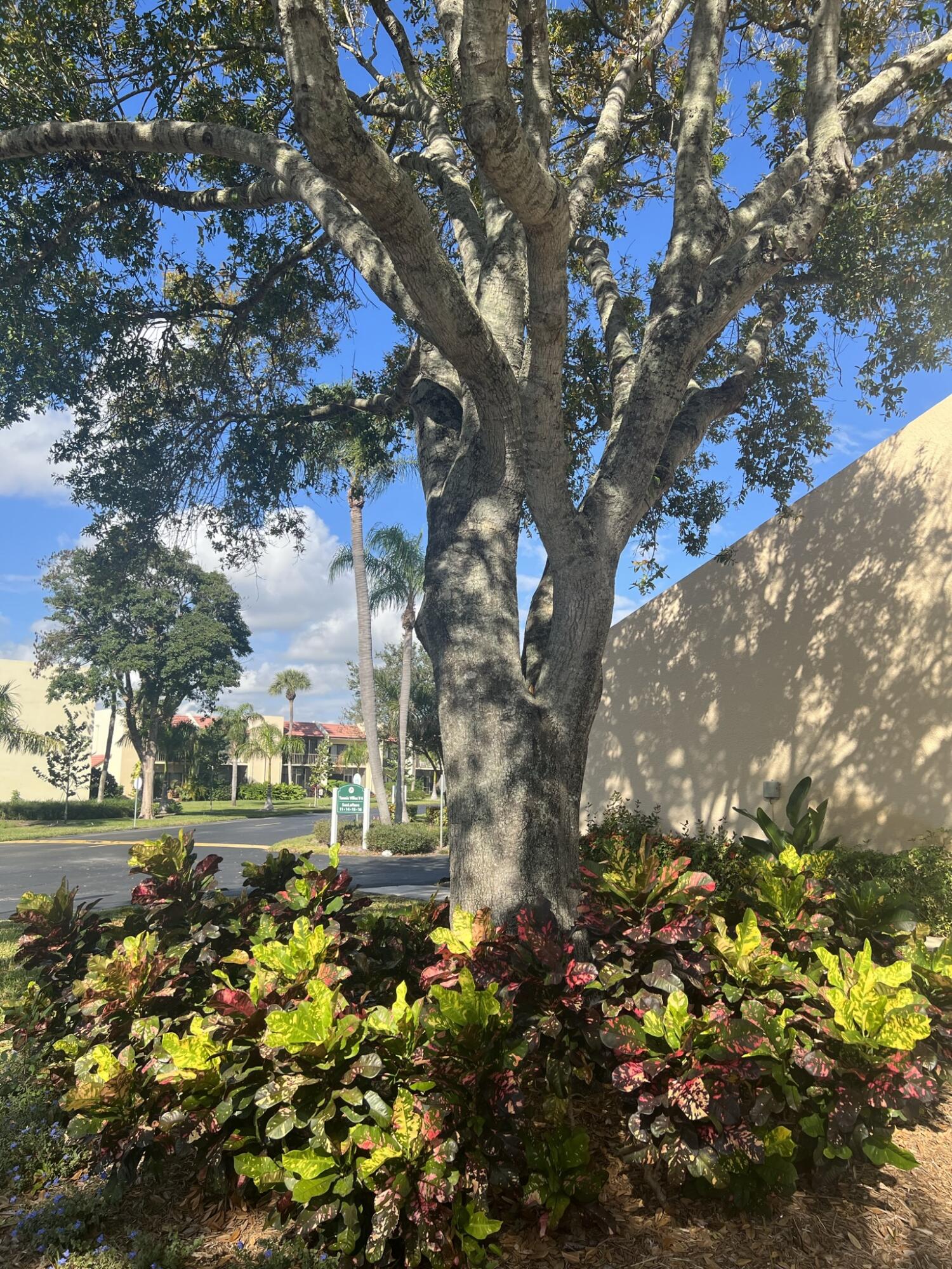 1605 Highway 1, Unit 201M2 Jupiter, FL 33477 - Photo 36 of 47 IMG_0189