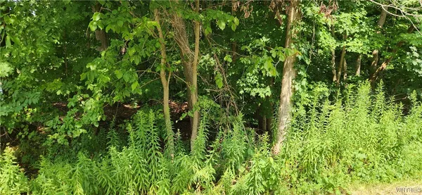$49,900 | V/l Boston State Road, Boston, NY 14025
