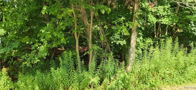 $49,900 | V/l Boston State Road, Boston, NY 14025