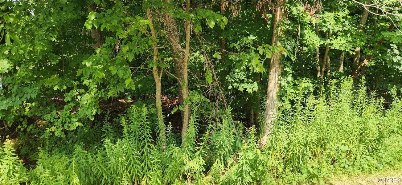 V/l Boston State Road Boston, NY 14025 - Photo 2 of 4