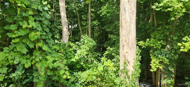 $49,900 | V/l Boston State Road, Boston, NY 14025