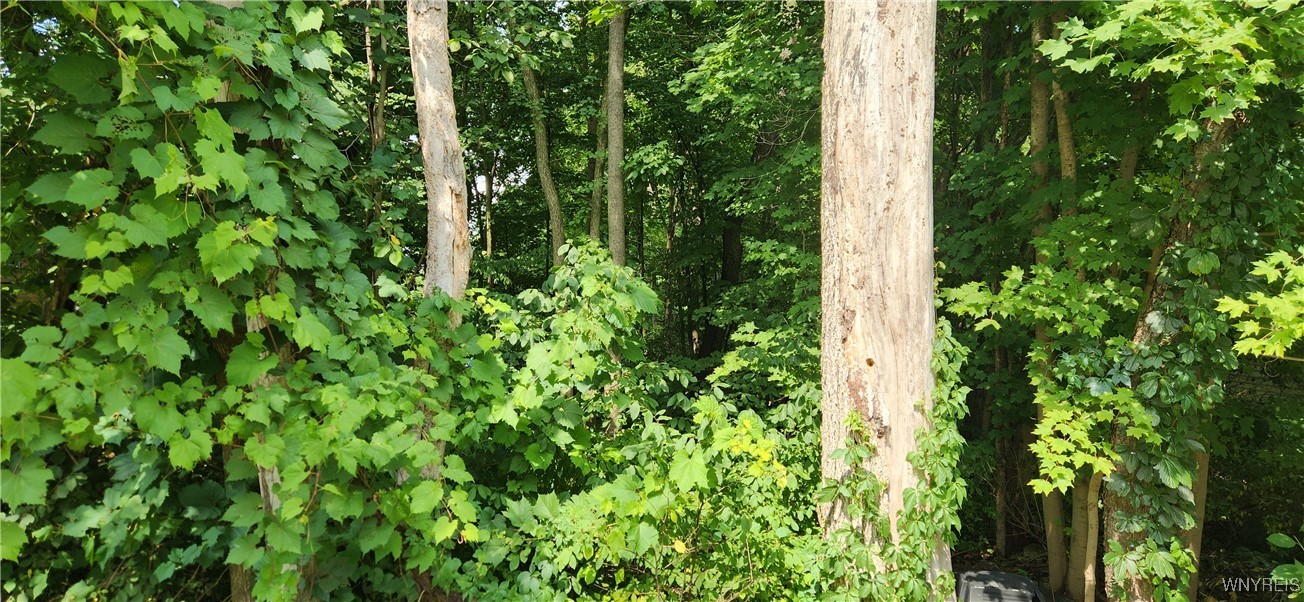 V/l Boston State Road Boston, NY 14025 - Photo 3 of 4